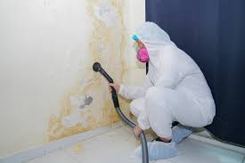 Best Real Estate Mold Inspection  in Charleston, SC